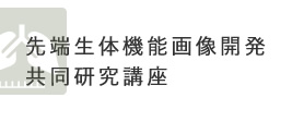 研究大学強化促進事業